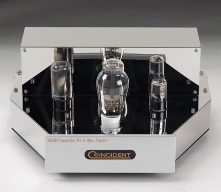 Coincident Speaker Technology Frankenstein II Tube Monoblock Amplifier